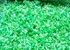 pet bottle recycling